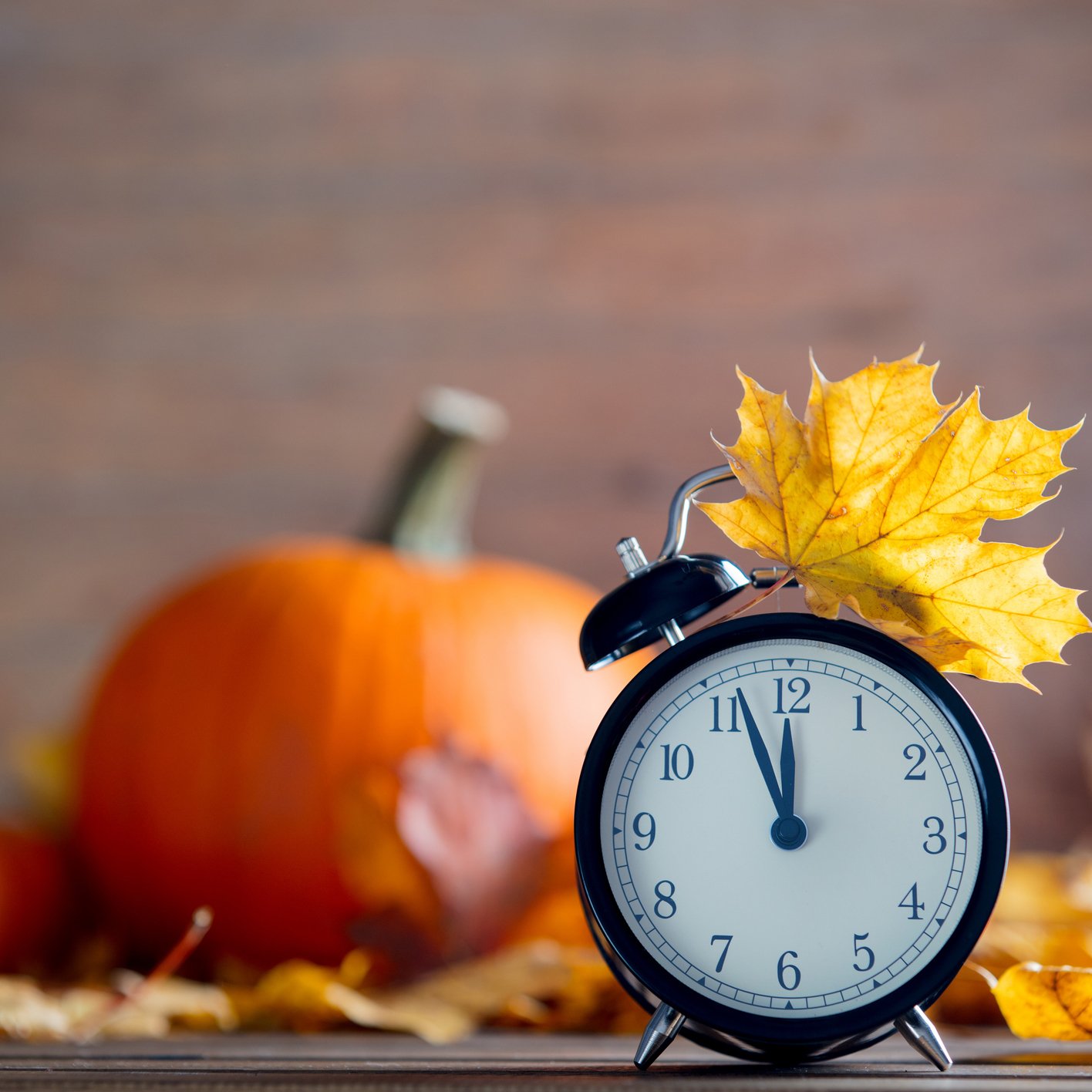 Picture of a clock by fall leaves and a pumpkin.